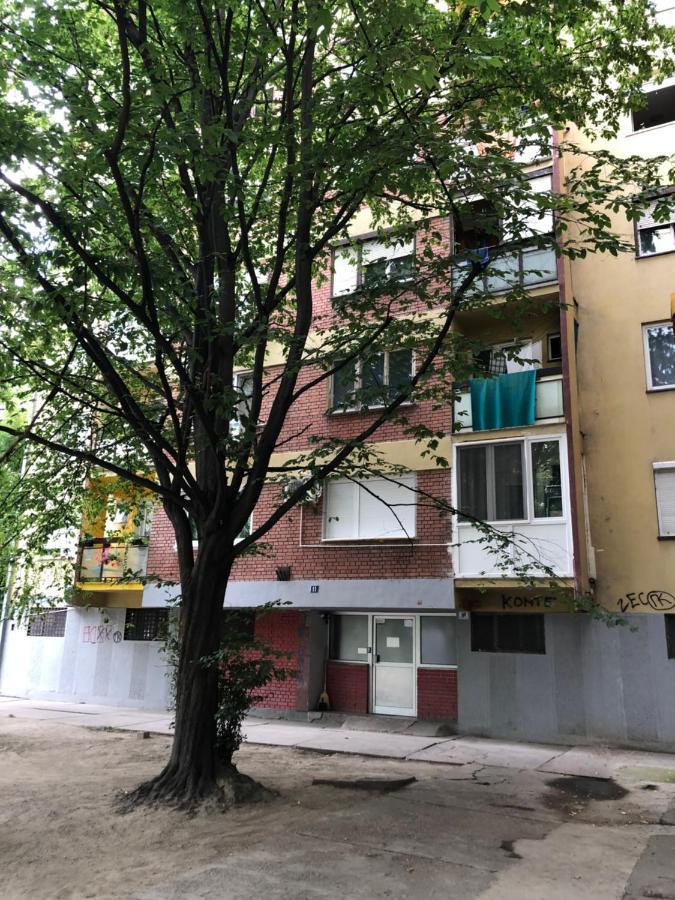 Apartman Lavanda Apartman Újvidék Kültér fotó